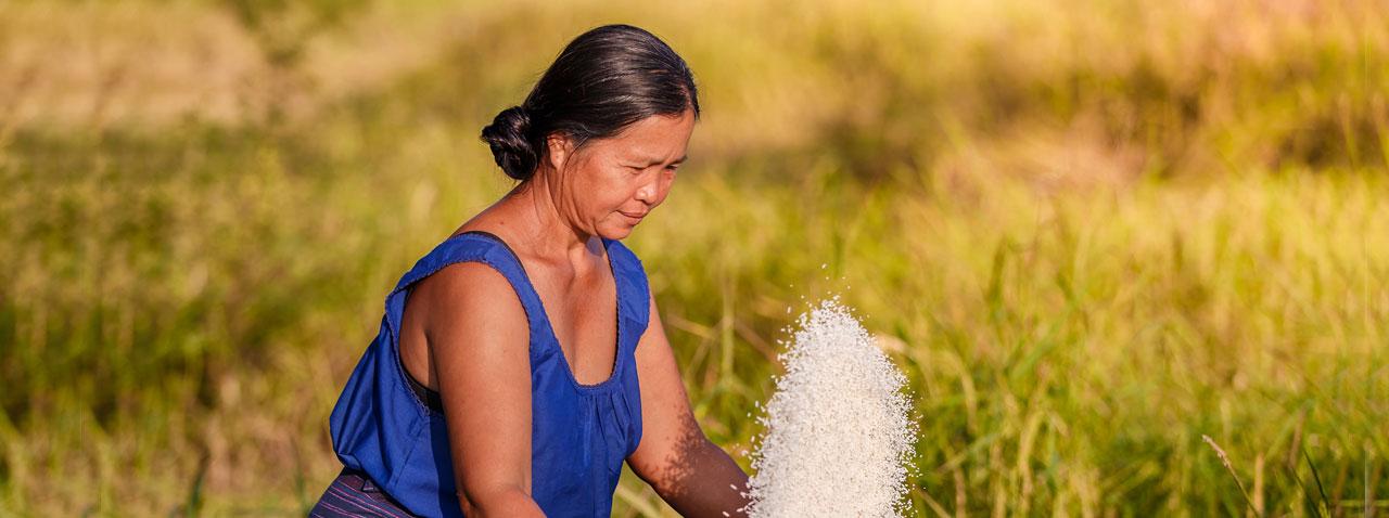 Learn about your country's policy profile